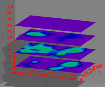 http://vege1.kan.ynu.ac.jp/FOLIAGE/CT-Laser/daisen1.gif